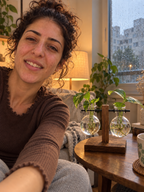 אגרטל ההשרשה הקסום של ישראל